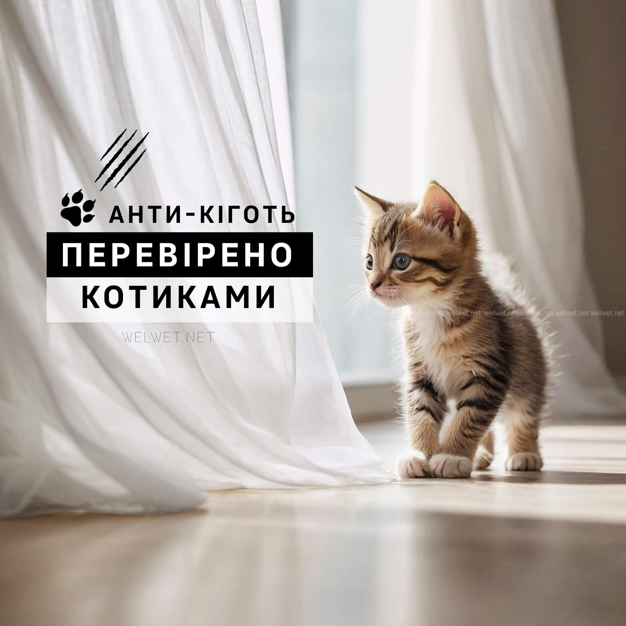 АНТИКІГОТЬ